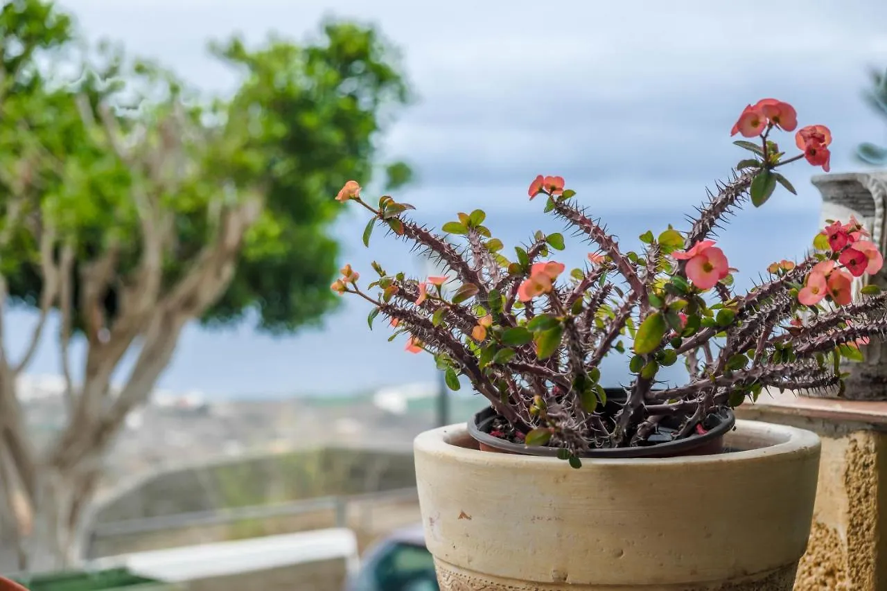 Casa Carmelita Lägenhet La Guancha